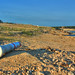 Travis Waters Photo 13