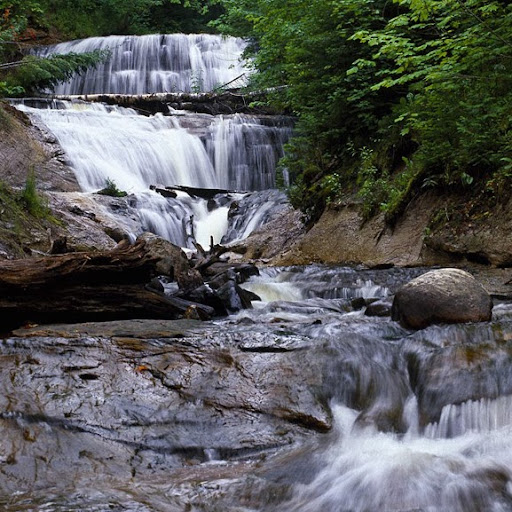 Carole Worley Photo 9
