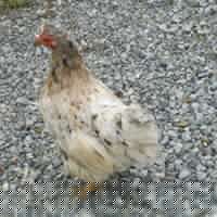 Nancy Mcdermott Photo 15