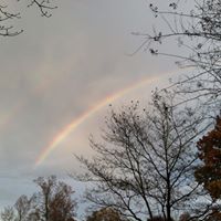 Timothy Sexton Photo 31