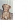 Marcia Alexander Photo 5
