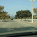 Rose Arroyo Photo 6