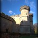 Nicholas Castello Photo 10