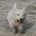 Sally Berner Photo 8