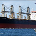 Joy Carrier Photo 15