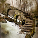 Sherri Stone Photo 27