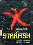 Wonders Of Starfish