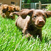 Heidi Long Photo 13