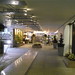 Susan Gould Photo 42