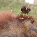 Charles Reeder Photo 23