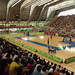 Alba Restrepo Photo 8