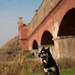 Jamie Havens Photo 11