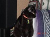Gail Gary Photo 3
