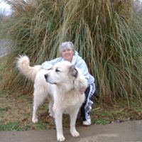 Carolyn Elmore Photo 13
