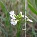 Kim Nuttall Photo 16