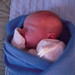 Avery Douglas Photo 31