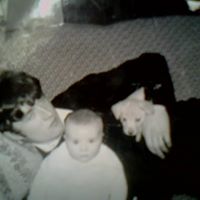 David Norman Photo 12