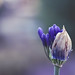 Kelly Long Photo 42