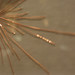 Lisa Whittaker Photo 44