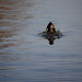 James Divin Photo 9