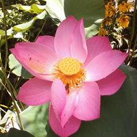 Mary Broderick Photo 28