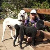 Shelly Harris Photo 6