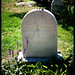 Susan Grave Photo 4