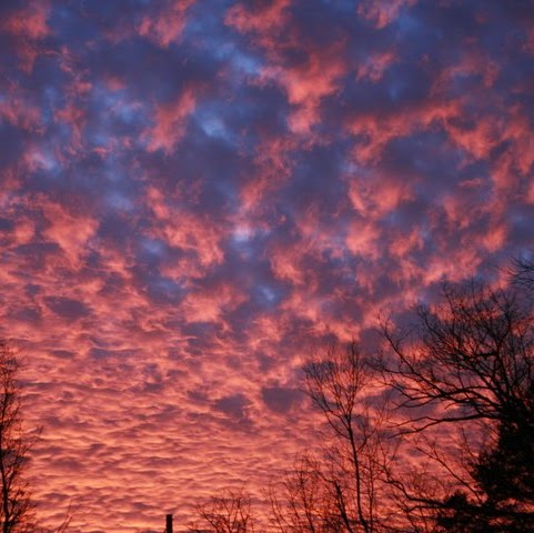 Samuel Farris Photo 7