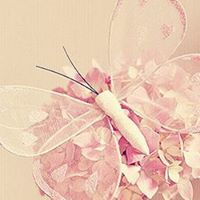 Angel Smith Photo 30