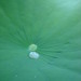 Crystal Lilly Photo 14