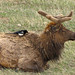 Sandy Peck Photo 15