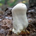 Robert Forsyth Photo 33