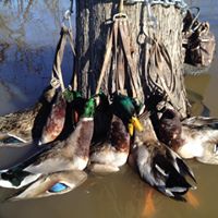 Chad Reeder Photo 17