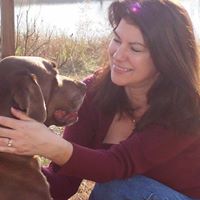 Lisa Mcdermott Photo 9