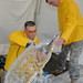 Anthony Daugherty Photo 8