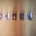 Stacy Atkins Photo 24