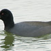 Grace Coots Photo 11