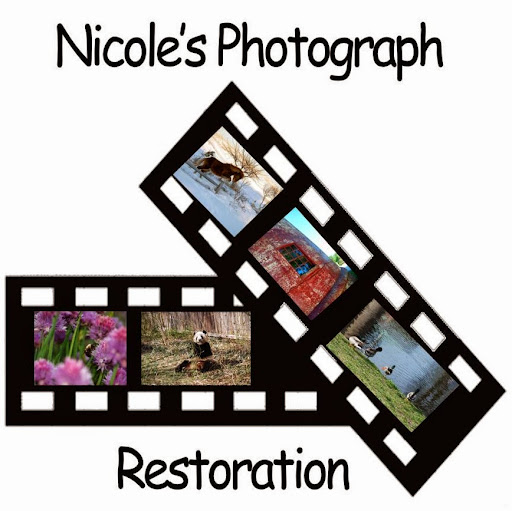 Nicole Edwards Photo 37