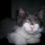 Teresa Ward Photo 12