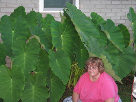 Barbara Watson Photo 38