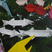 Sue Brill Photo 17