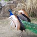 Gail Potter Photo 20