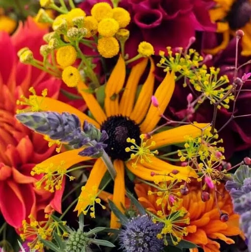 Belinda Cox Photo 31