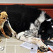 Juanita Jackson Photo 40