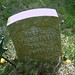 John Jewell Photo 22
