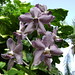 Mary Motes Photo 21