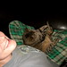 Jeannette Marshall Photo 9