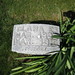 Clara Smith Photo 14