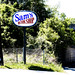 Sam Quick Photo 16