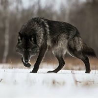 Justin Esser Photo 20